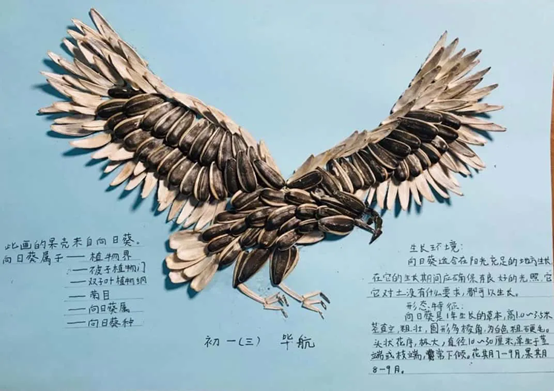 38bdceac4ae44f26b58969c1cca9087c.png