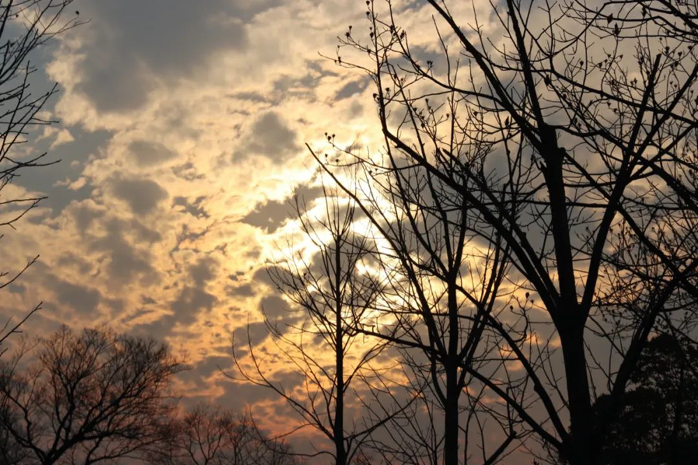 c9c2d2171dbd451682ff851f5d646aae.png